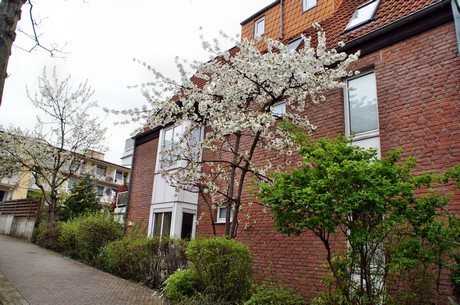 braunsfeld