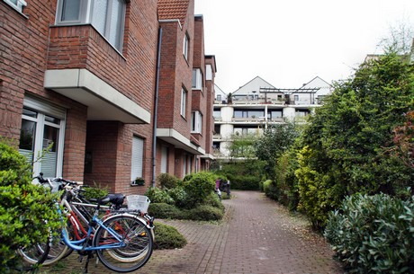 braunsfeld