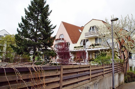braunsfeld