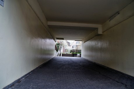 braunsfeld