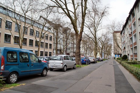 braunsfeld