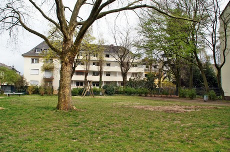 braunsfeld