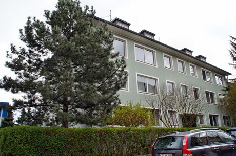 braunsfeld