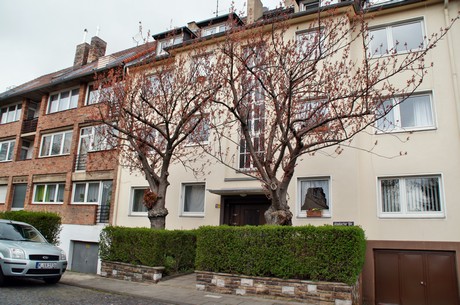 braunsfeld