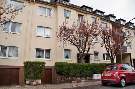 braunsfeld