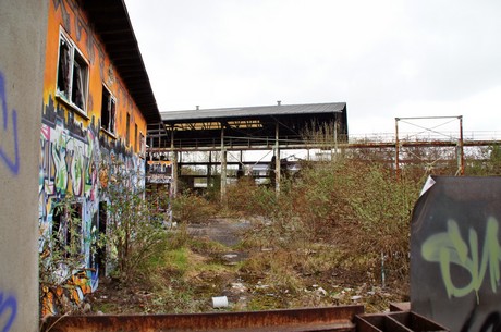 braunsfeld