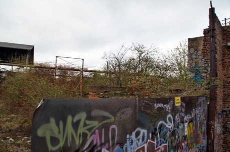 braunsfeld
