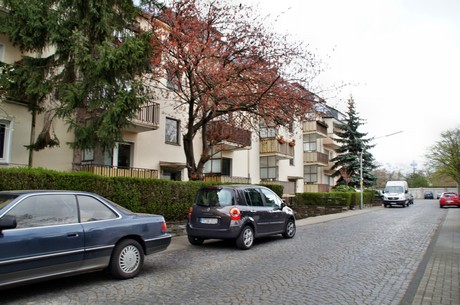 braunsfeld