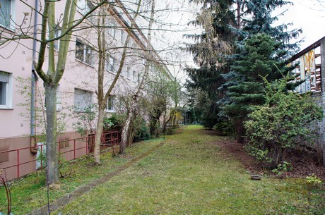 braunsfeld