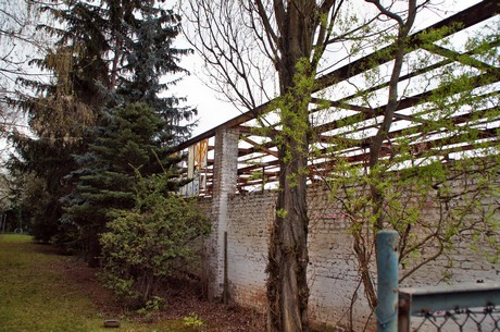 braunsfeld