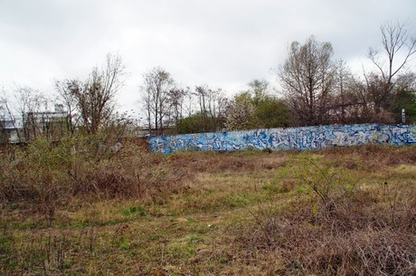 braunsfeld