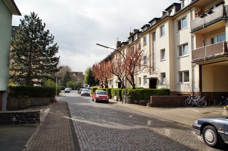 braunsfeld