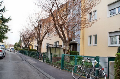 braunsfeld