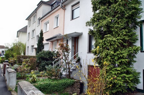 braunsfeld