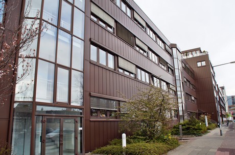 braunsfeld