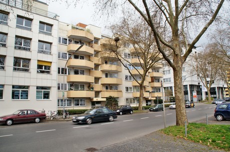 braunsfeld
