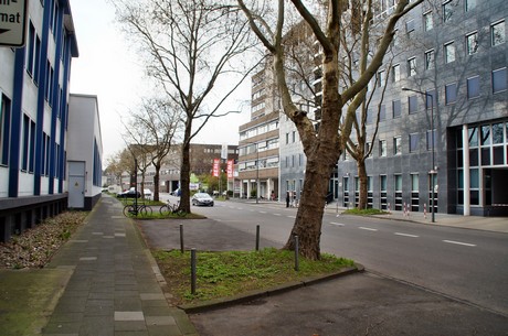 braunsfeld