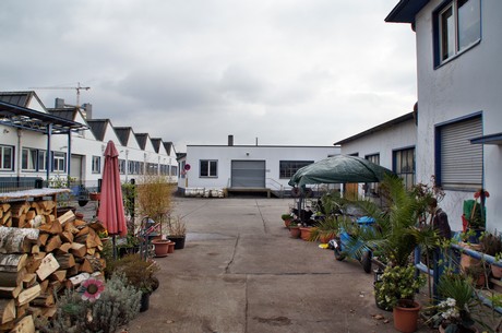 braunsfeld