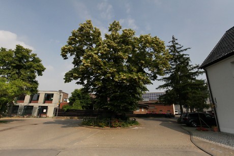 brueck
