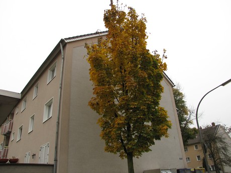 buchheim