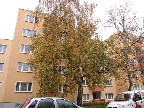 buchheim
