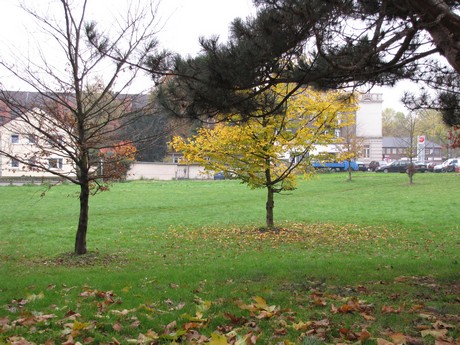 buchheim