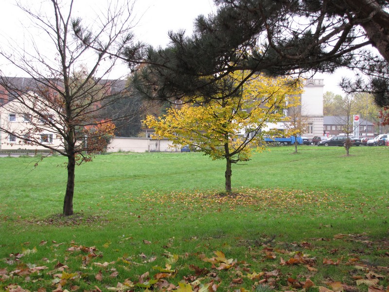 buchheim