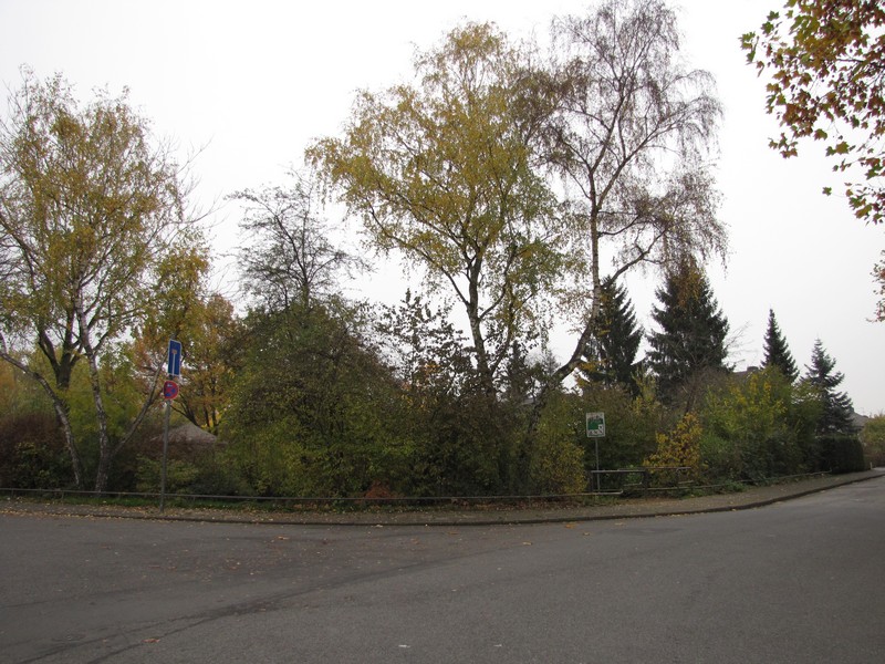 buchheim
