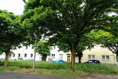 buchheim