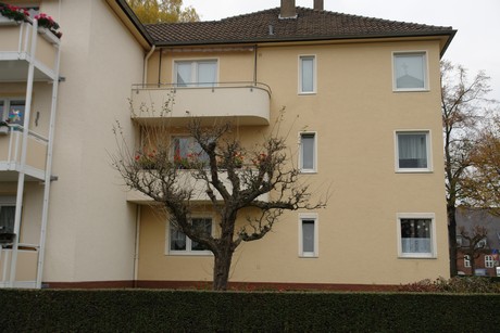 dellbrueck