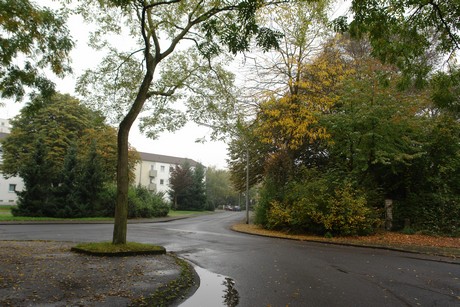 dellbrueck