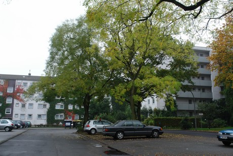 dellbrueck