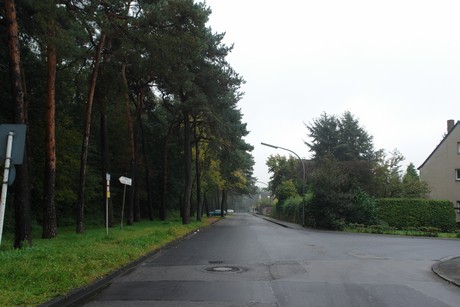dellbrueck