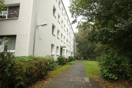 dellbrueck