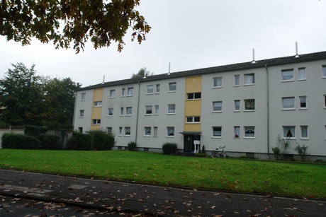 dellbrueck