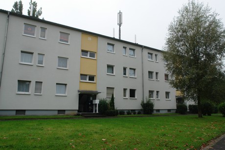 dellbrueck