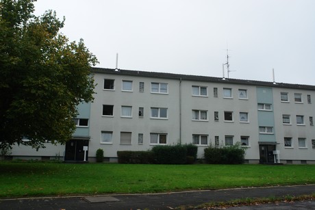 dellbrueck