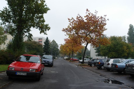 dellbrueck
