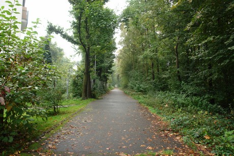 dellbrueck