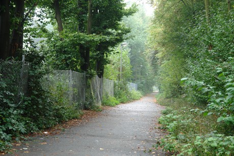 dellbrueck