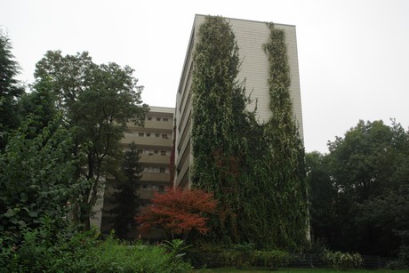 dellbrueck