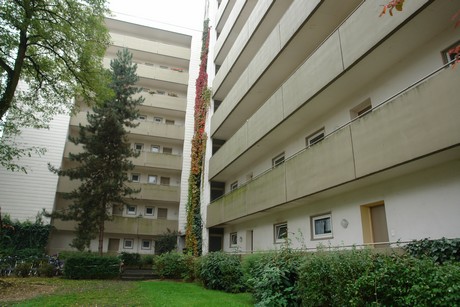 dellbrueck