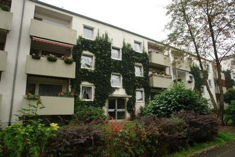 dellbrueck