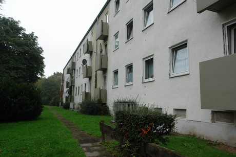 dellbrueck