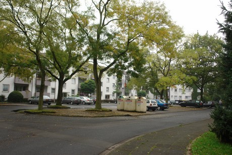 dellbrueck