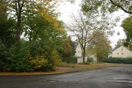 dellbrueck