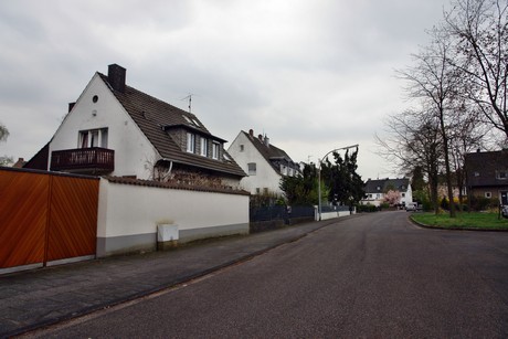 duennwald