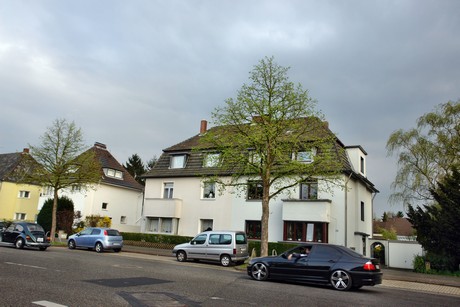 duennwald