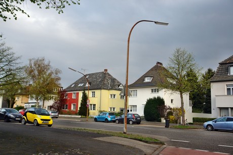 duennwald