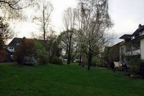 duennwald
